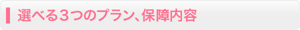選べる３つのプラン、保障内容